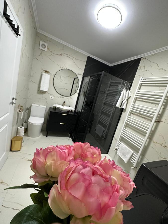 Apartament Bisera Timisoara Exterior foto
